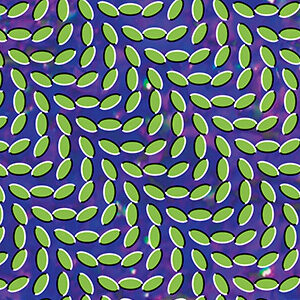 Animal Collective