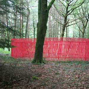 Phyllida Barlow