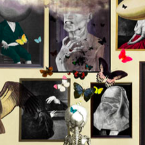 Alice Smith Illustration