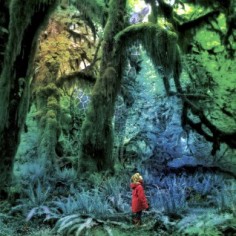 Bold: Jacco Gardner – Age Doesn’t Matter