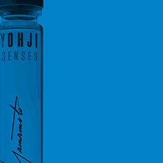 Bold: Capturing the Essence of Yamamoto.
