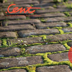 Cent Issue 13 – PDF – The Spaces In Between – The greyworld Issue