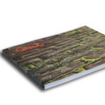 Cent Issue 13 – Print – The Spaces In Between – The greyworld Issue
