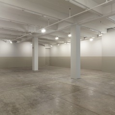 Linear: Horizon in a Room