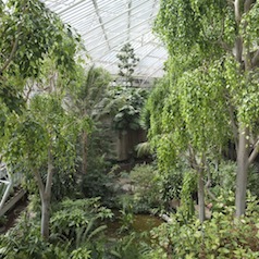 Radiant: London’s Secret Garden