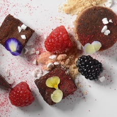 Anarchy: Immerse Yourself in Chocolate