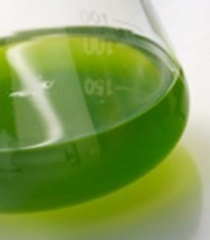 Juxtaposed: The Science of Gastronomy