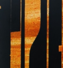 XXL: Combining Art with Beauty