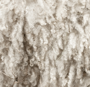 XXL: Shearling Madness