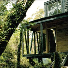 Digital: The Architectural Review