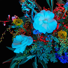 Move: Botanical Fascination