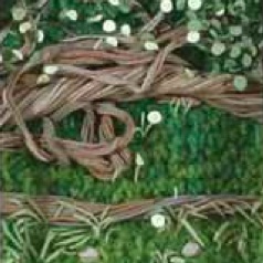 Move: The Crocus Tree