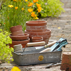 Get sharp, spring into action