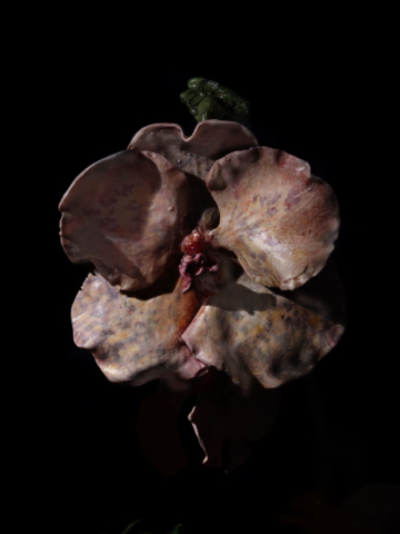 Mat Collishaw