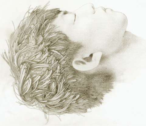 Page Tsou