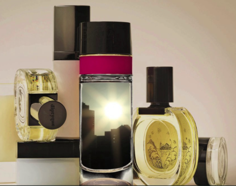 Expressions of Scent