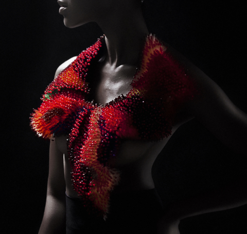 Fashion International…