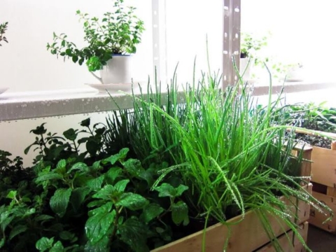 70s: Self-sufficient & Green
