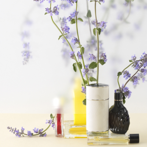 Bloom: Efflorescence part 1