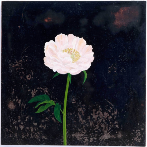 Bloom: Revisiting Flora