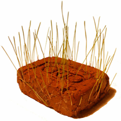 Bohemia: Ortobrick