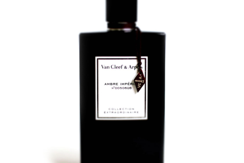 Lady: A new day, a new parfum
