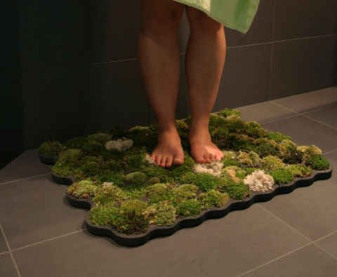 CLASH: Nature Merges With Technology!