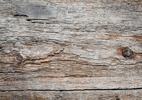 Revamp: Natural Benefits