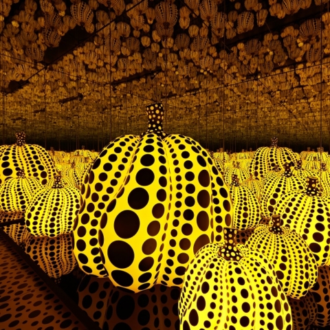 Decorate: The Space with Yayoi Kusama