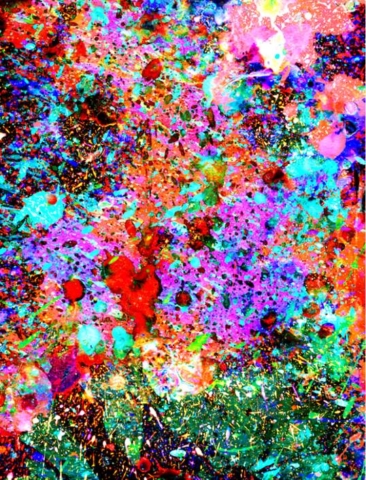 Transform: Sight and Sound