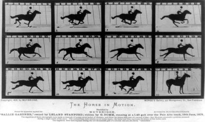 Vivid: The Evolution of Animation