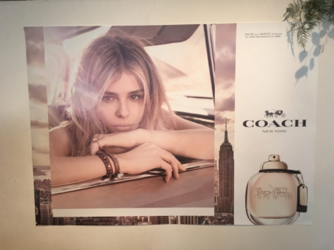 VIVID: Coach Eau De Parfum