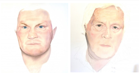 Irregular: Bipolar Picasso