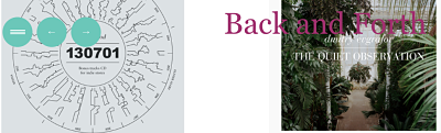 Function: Back and Forth