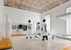 Function: A fashionable History