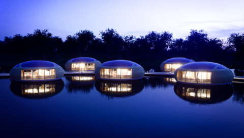 Flowing; Aquatic Architecture