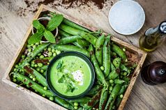 Gordon Ramsay Launches ‘The Allotment’ at Bread Street Kitchen