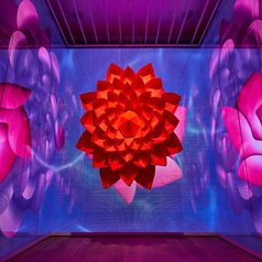 Flowing; Neon Garden: Zoe Bradley’s Vivacious New Installation