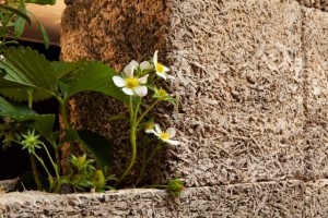 Frame; and Forage with Miller Harris