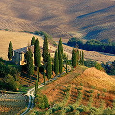 Barebones: Symbols of Tuscany and Spice Island
