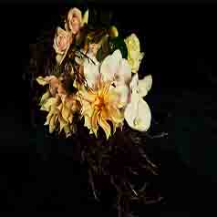 Grandiflora – Fragrance Inspired by Nature