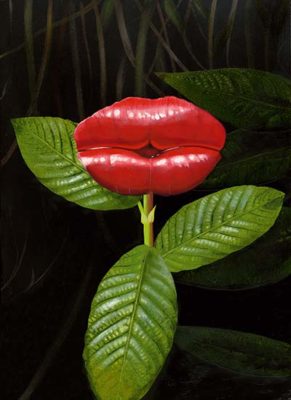 The Wonderful World Of Weird Plants