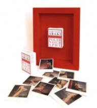 Ratio; Nobuyoshi Araki and The Art of Polarnography