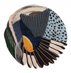 Journeys of Colour and Texture