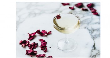 Power; CBD, the Healer and Helper
