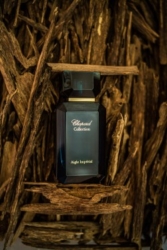 Modest; A Perfumed Flight of Majesty