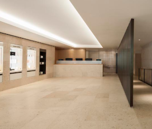 The Wellness Clinic