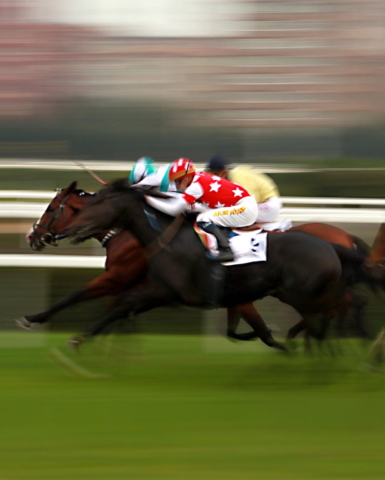 Horse-Race