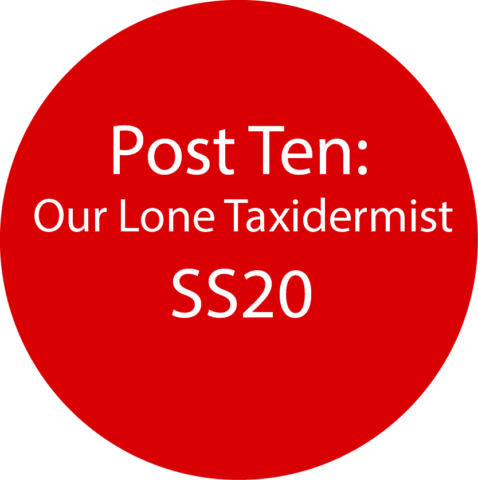 Our Lone Taxidermist SS20