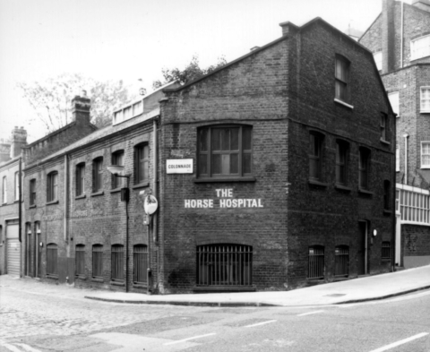 News; Dear, The Horse Hospital